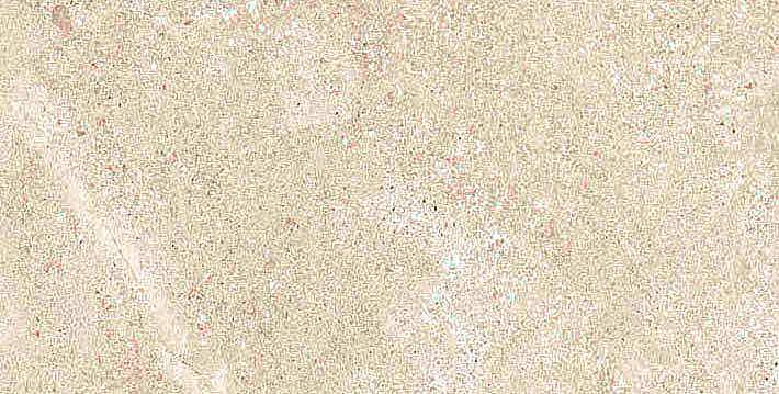 766613 На пол Elemental Stone Cream Limestone Nat Ret 30x60