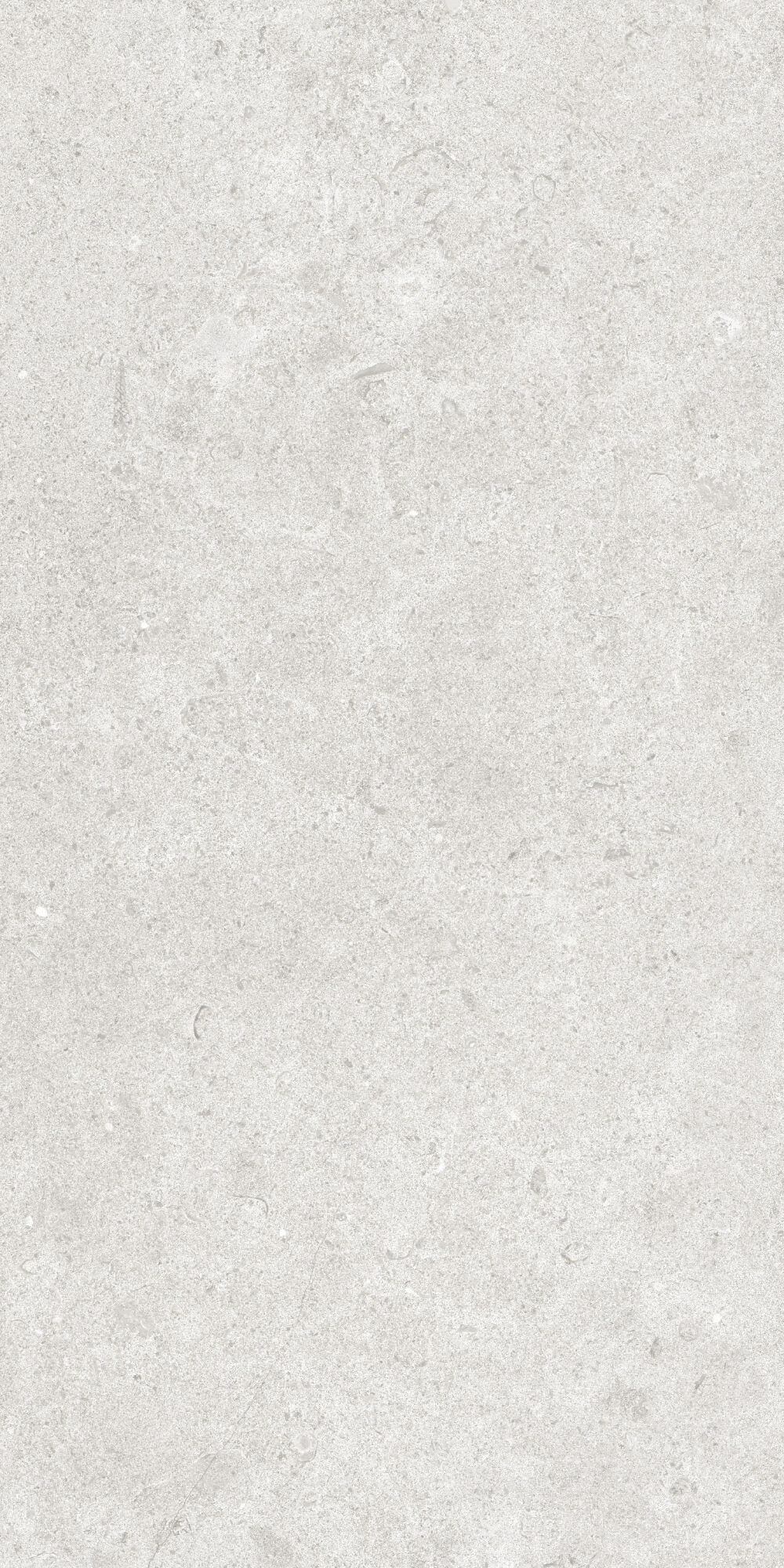 36904 На пол Cluny Silver 4D/50X100X2/A/R 50x100 - фото 2