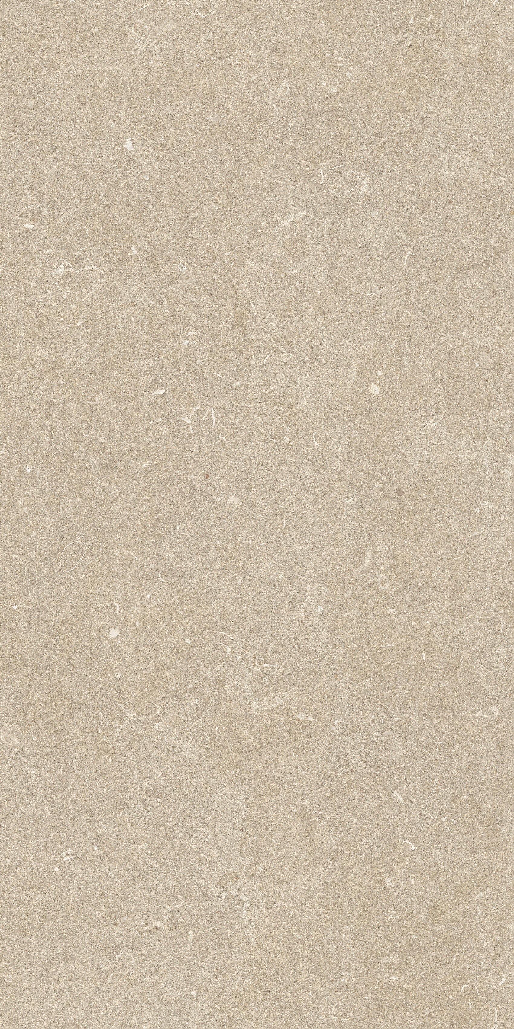 785481 На пол Rinascenza Arena Conchiglia Matte 60x120