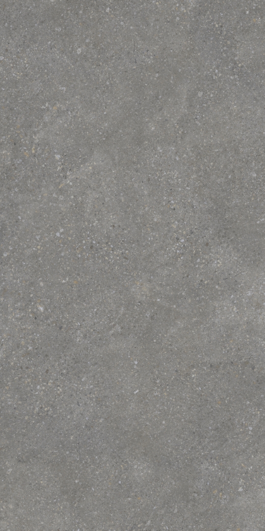 PT12F7047 На пол Pietra Grey Matt 1200х600х9