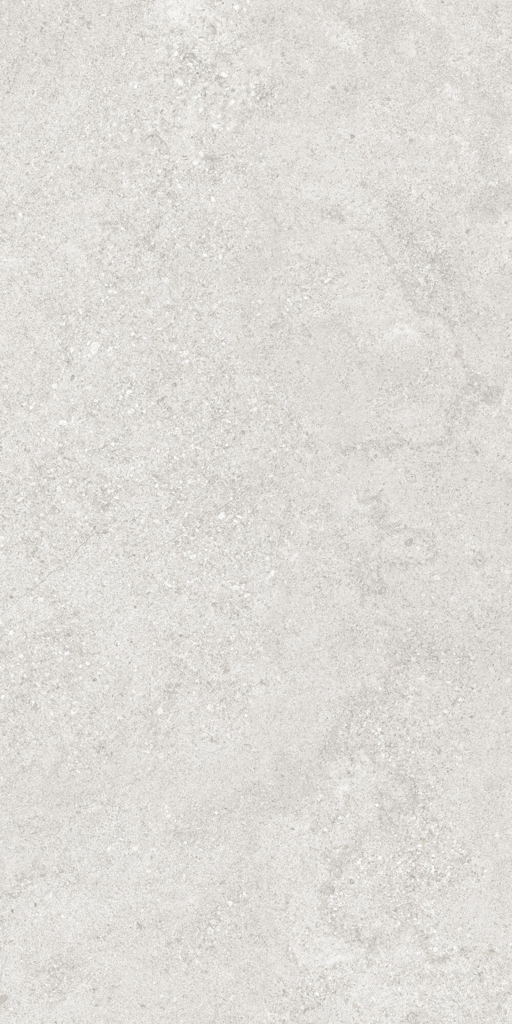 36904 На пол Cluny Silver 4D/50X100X2/A/R 50x100 - фото 3