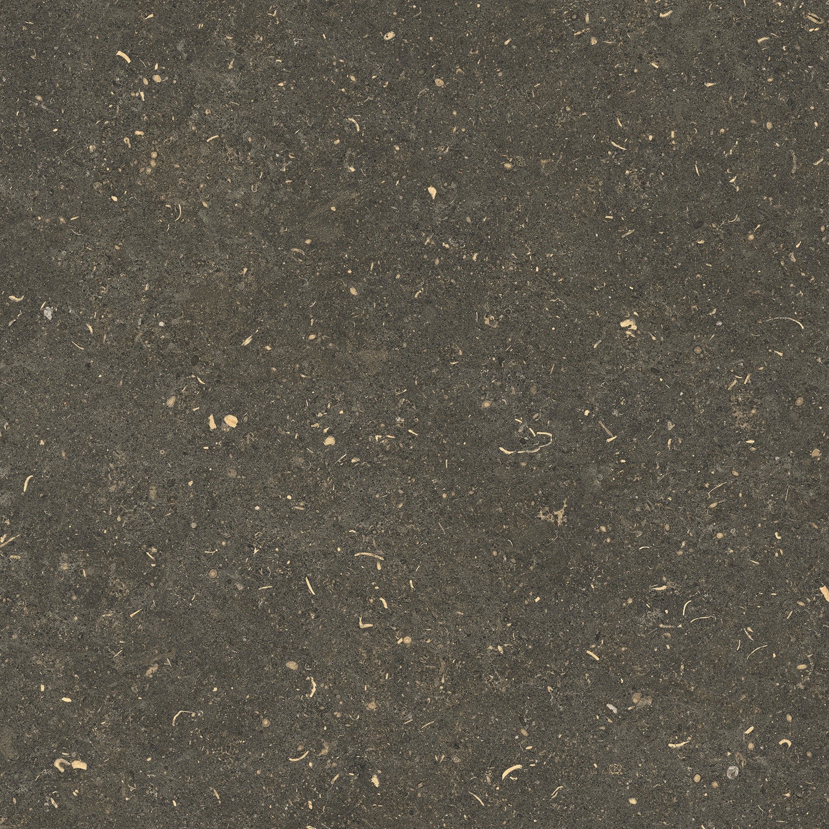 785499 На пол Rinascenza Arena Platino Grip 60x60 - фото 3