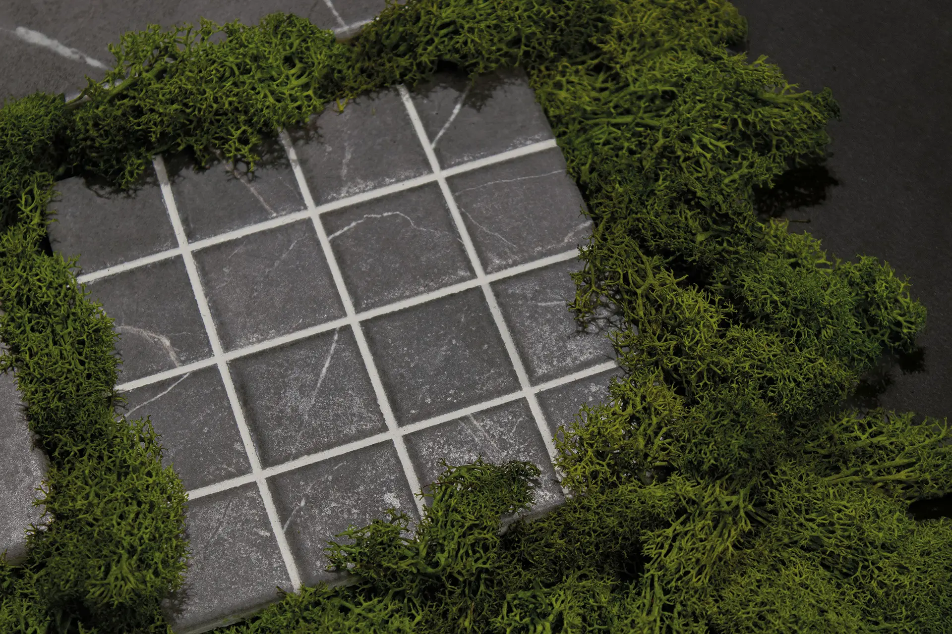 Wow Vestige - фото 41