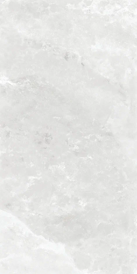 QI612S4090M  На пол Elf Stone Polish 60x120 - фото 3