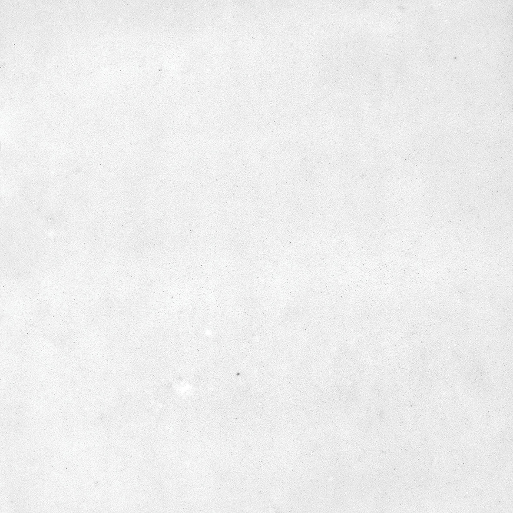 40850 На стену Afra White/R 10.7x10.7 - фото 32