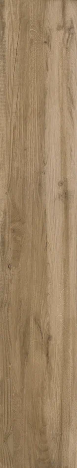 YI212M3104 На пол Oak Matt 20х120 - фото 9