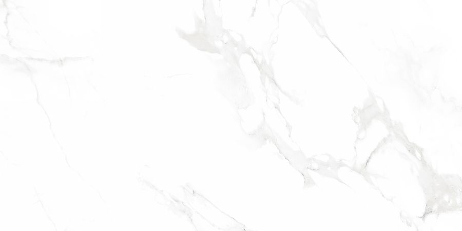 N12003 На пол Classic Marble Venus Bianco Polished 60x120 - фото 3