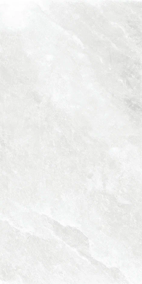 QI612S4090M  На пол Elf Stone Polish 60x120 - фото 2