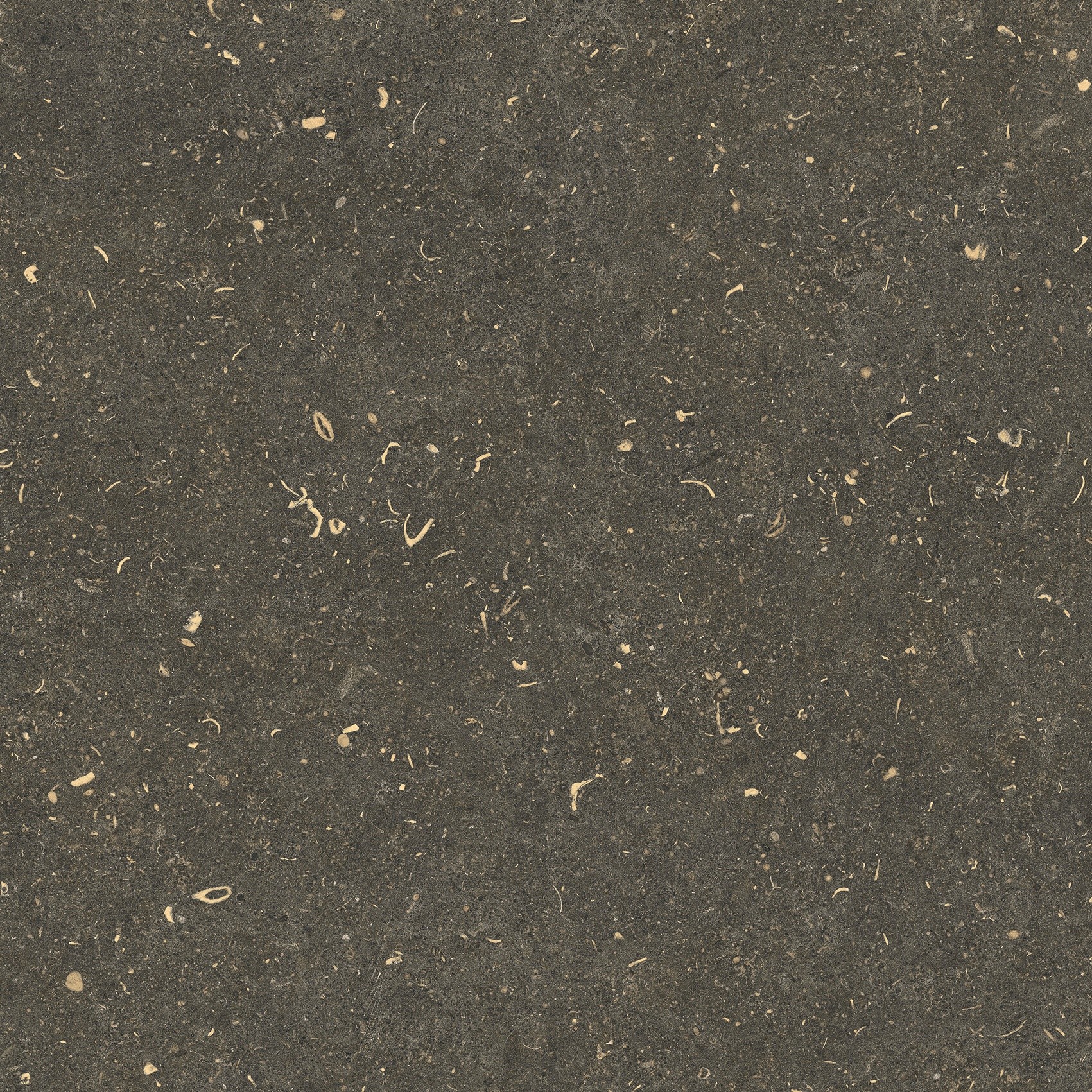 785487 На пол Rinascenza Arena Platino Matte 60x60 - фото 7