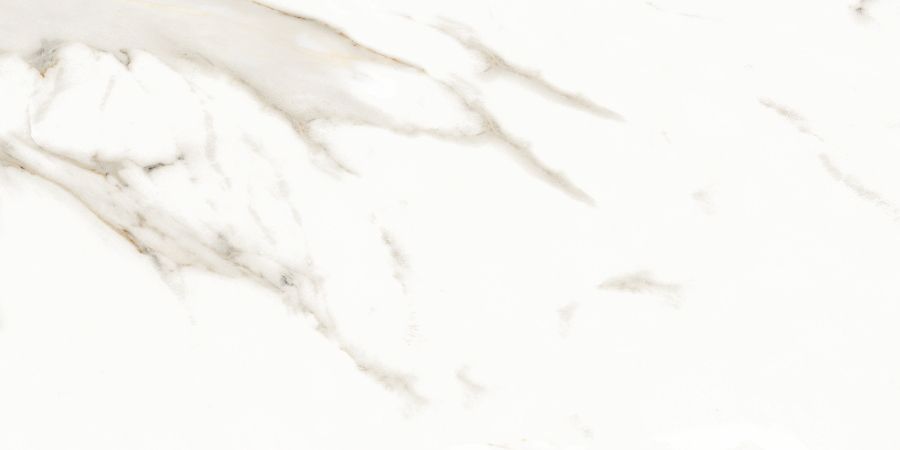 N12028 На пол Classic Marble Marmol Carrara Polished 60x120 - фото 2