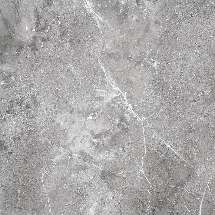 На пол Hamburg Grey Polished 60x60