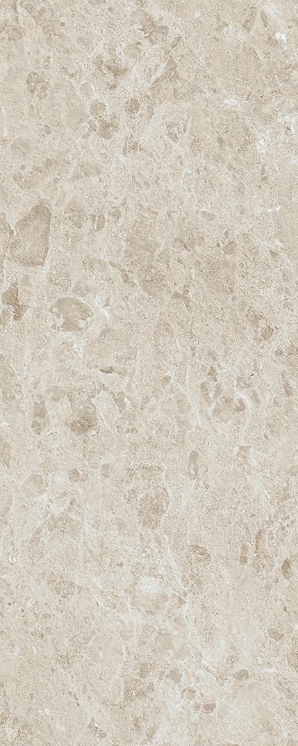 LAMF013092 На пол Rare Pietra di Gre DNA 5 1200x3000