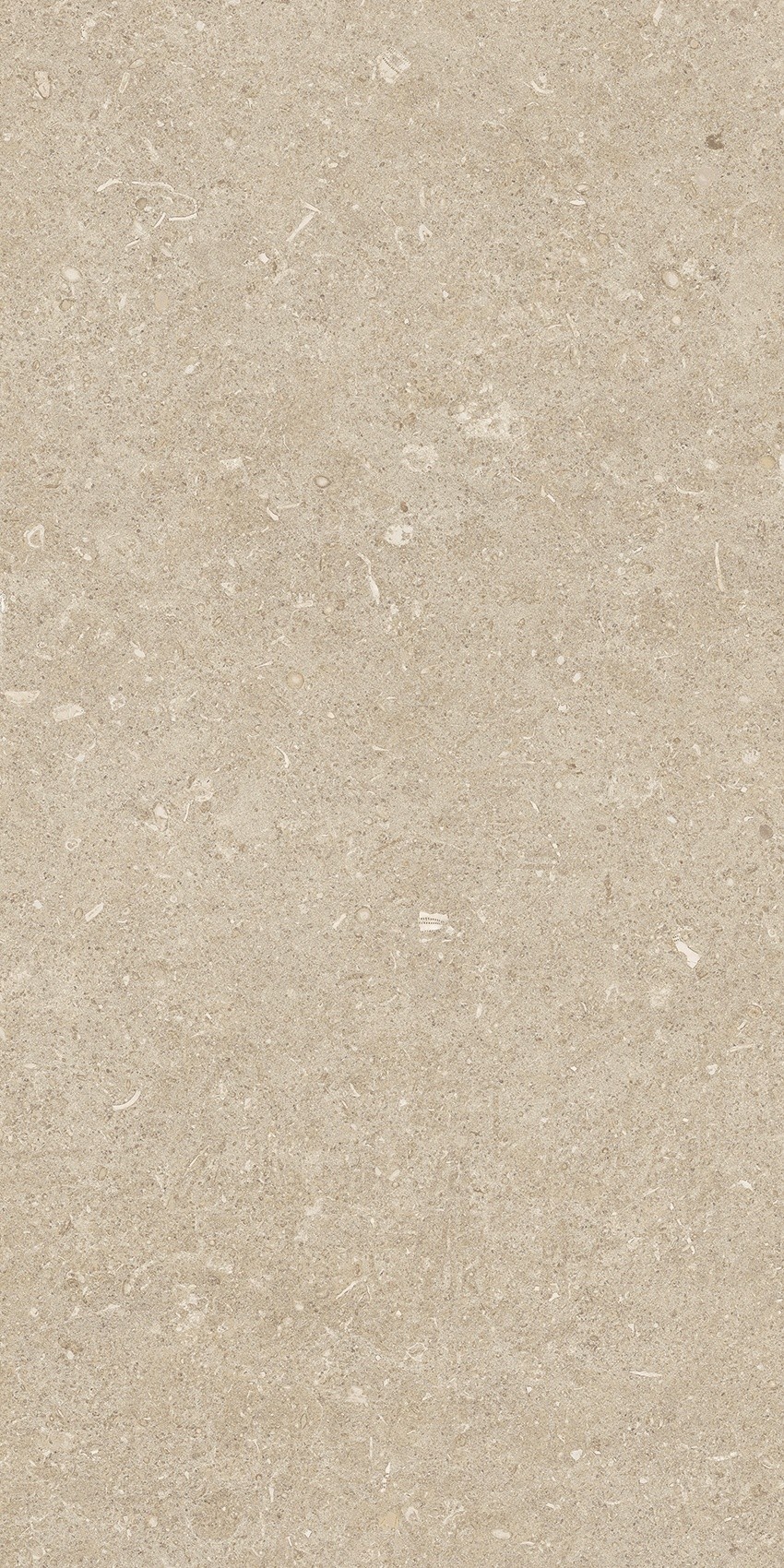 785489 На пол Rinascenza Arena Conchiglia Matte 30x60 - фото 8