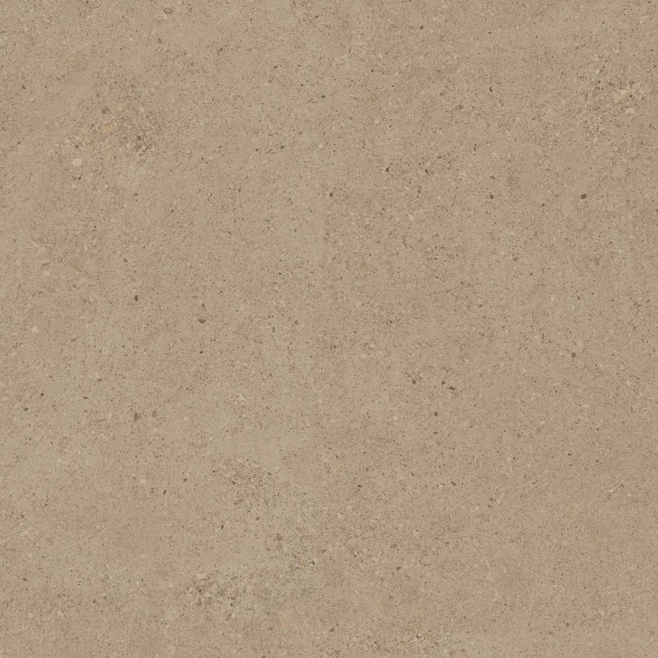 CE01/NR_R11/60x60x20R/GW На пол Спенс CE01 Темно-бежевый Структурированный Рект 60x60x20 - фото 5