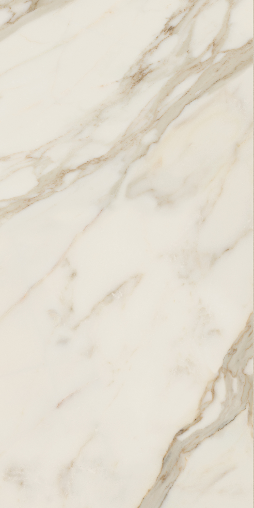AGB4 На пол Anima Futura Golden White Luc. 120x60 - фото 6