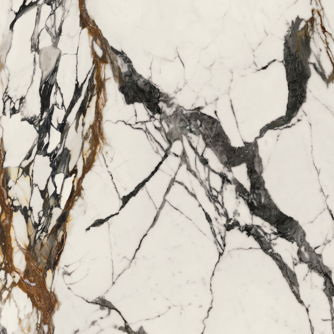 100331132 На пол Xlight Paonazzo Biondo Polished 120x120 - фото 3