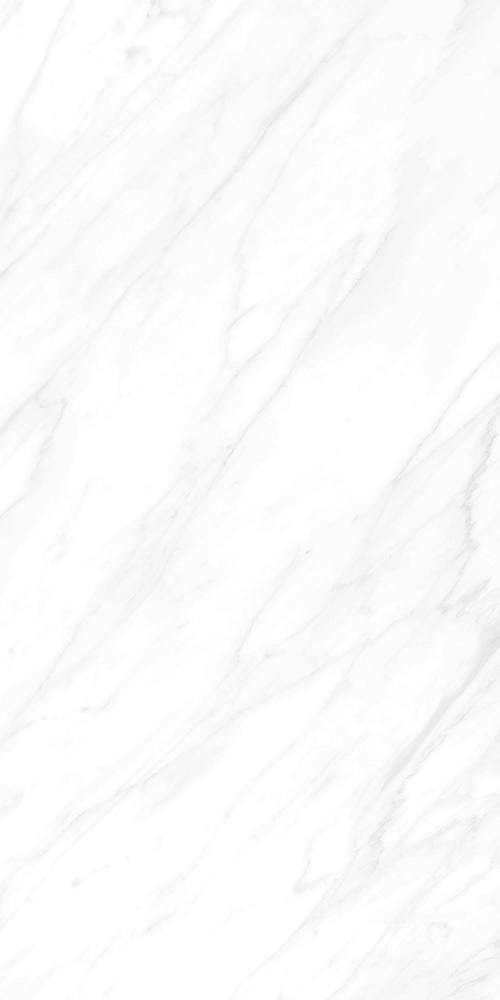 BHW-0022 На пол Carrara Matt Grains Soft-Polished Mould 600x1200x10 - фото 4