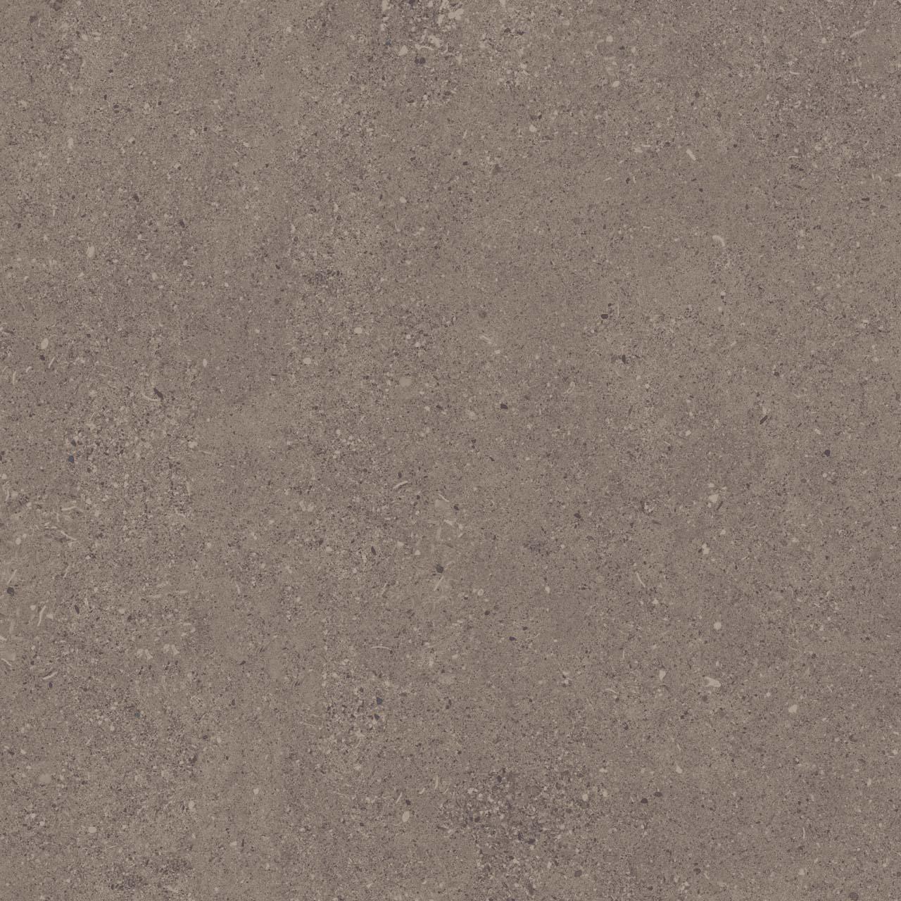 CE04/NR_R11/60x60x20R/GW На пол Спенс Темно-серый Структурированный Рект 60x60x20 - фото 4