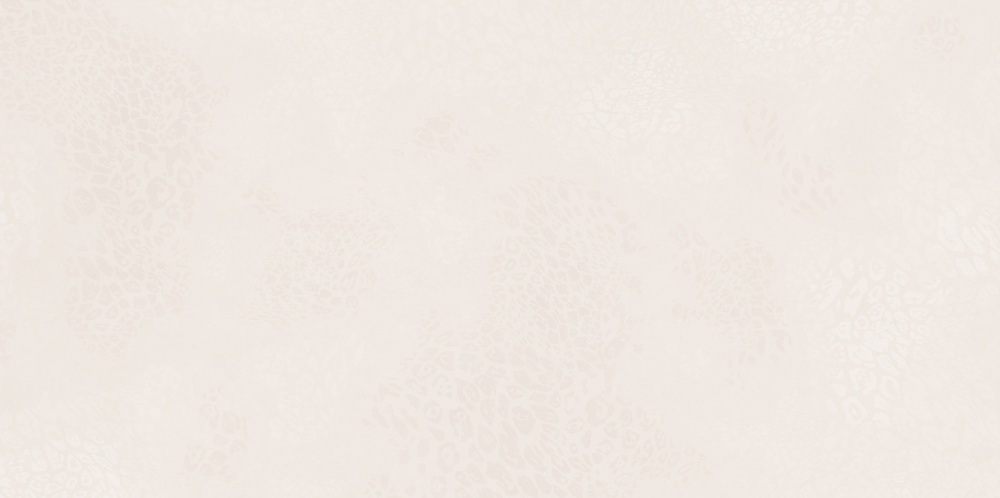 AVS-101 На пол Avanti Ivory Grain 600x1200 - фото 5