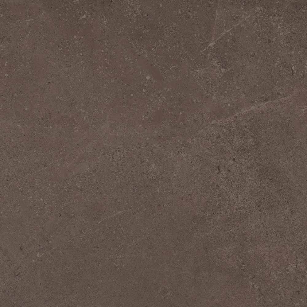 GO03/NS_R9/60x60x10R/GC На пол Gobi GO03 Brown Grey неполированный 60x60 - фото 4