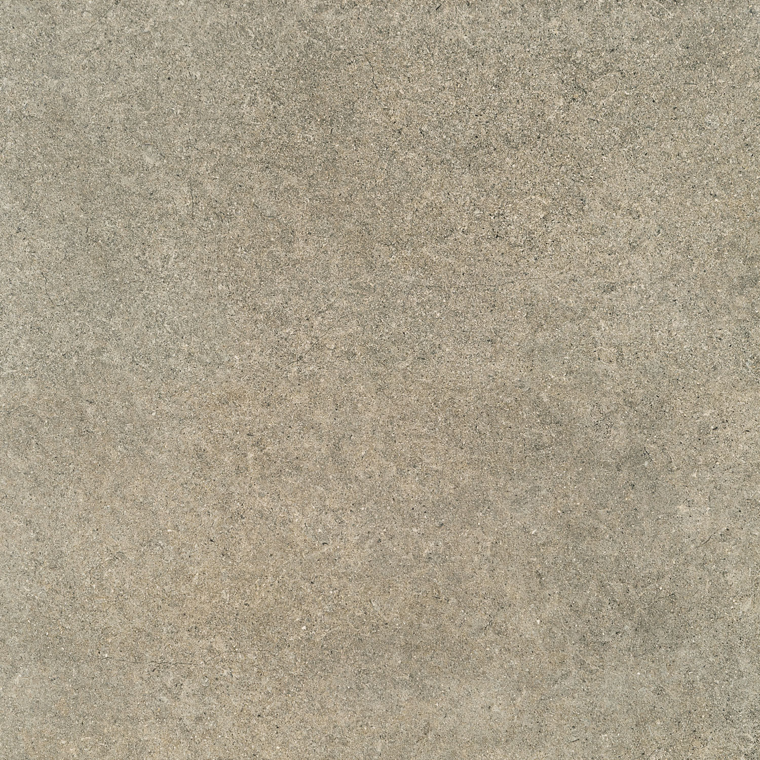 PP-01-161-0598-0598-1-021 На пол Lemon Stone Grey 1 Pol 59.8x59.8