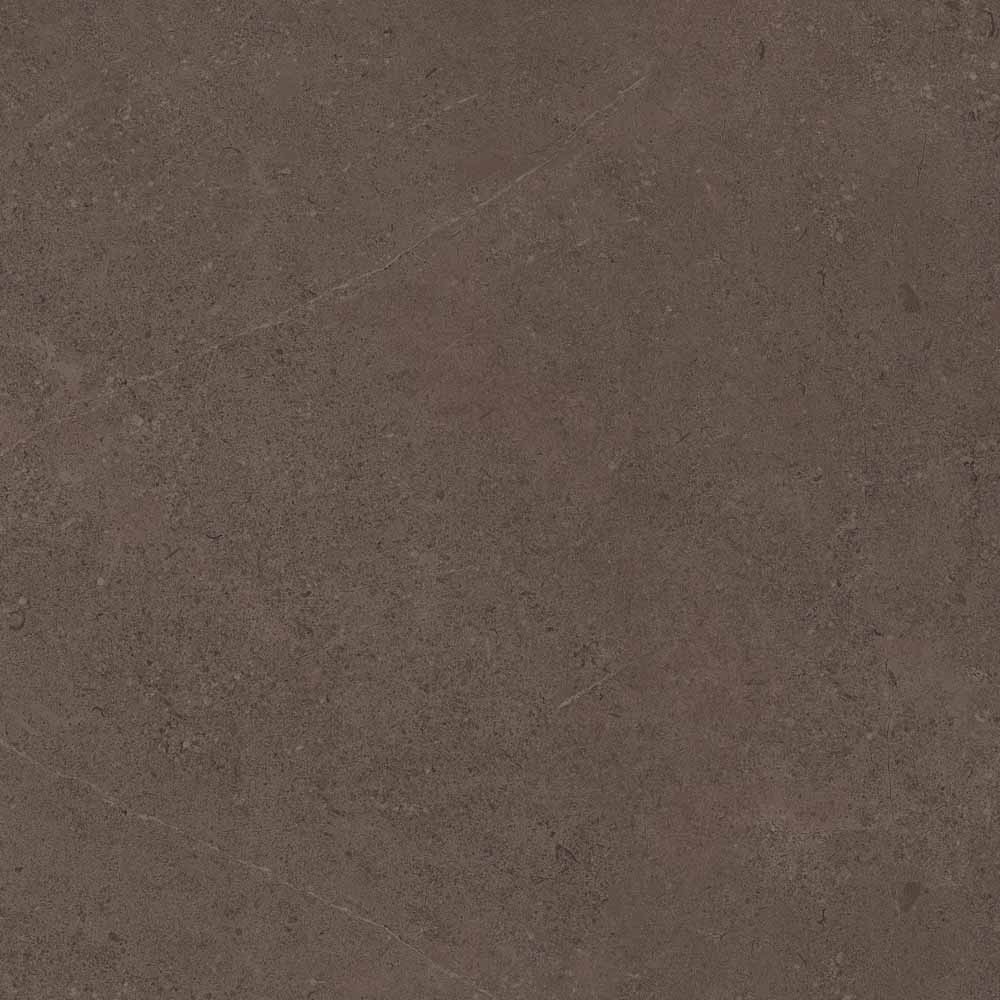 GO03/NS_R9/60x60x10R/GC На пол Gobi GO03 Brown Grey неполированный 60x60 - фото 3