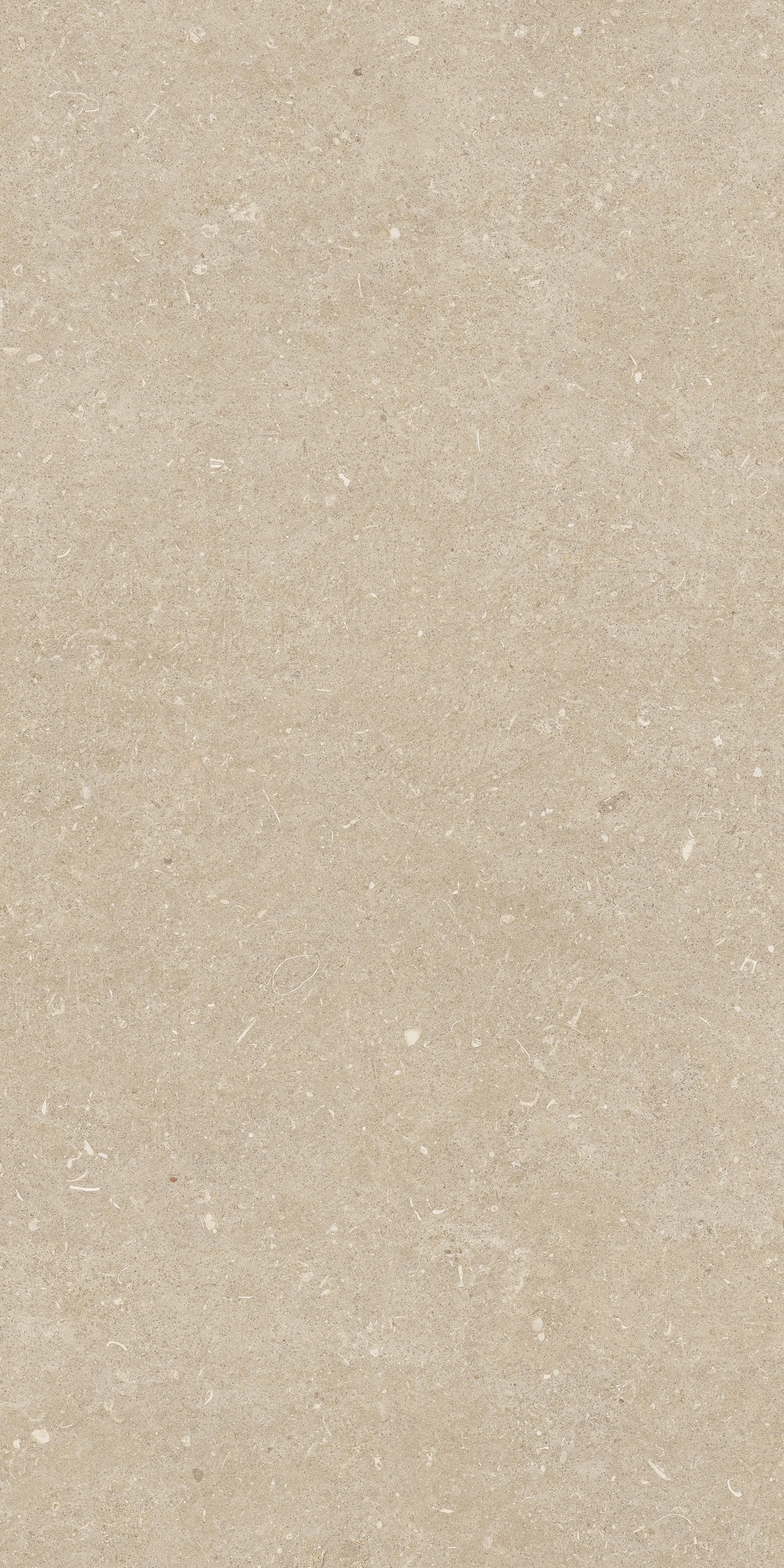 785481 На пол Rinascenza Arena Conchiglia Matte 60x120 - фото 5