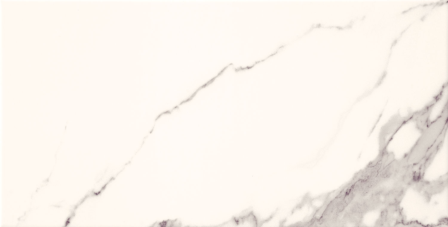 PS-02-572-0308-0608-1-001 На стену Bonella W- White 30.8x60.8