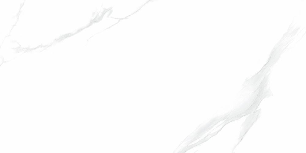 NTT9106P  На пол Bright And Shiny Statuario 60x120 - фото 3