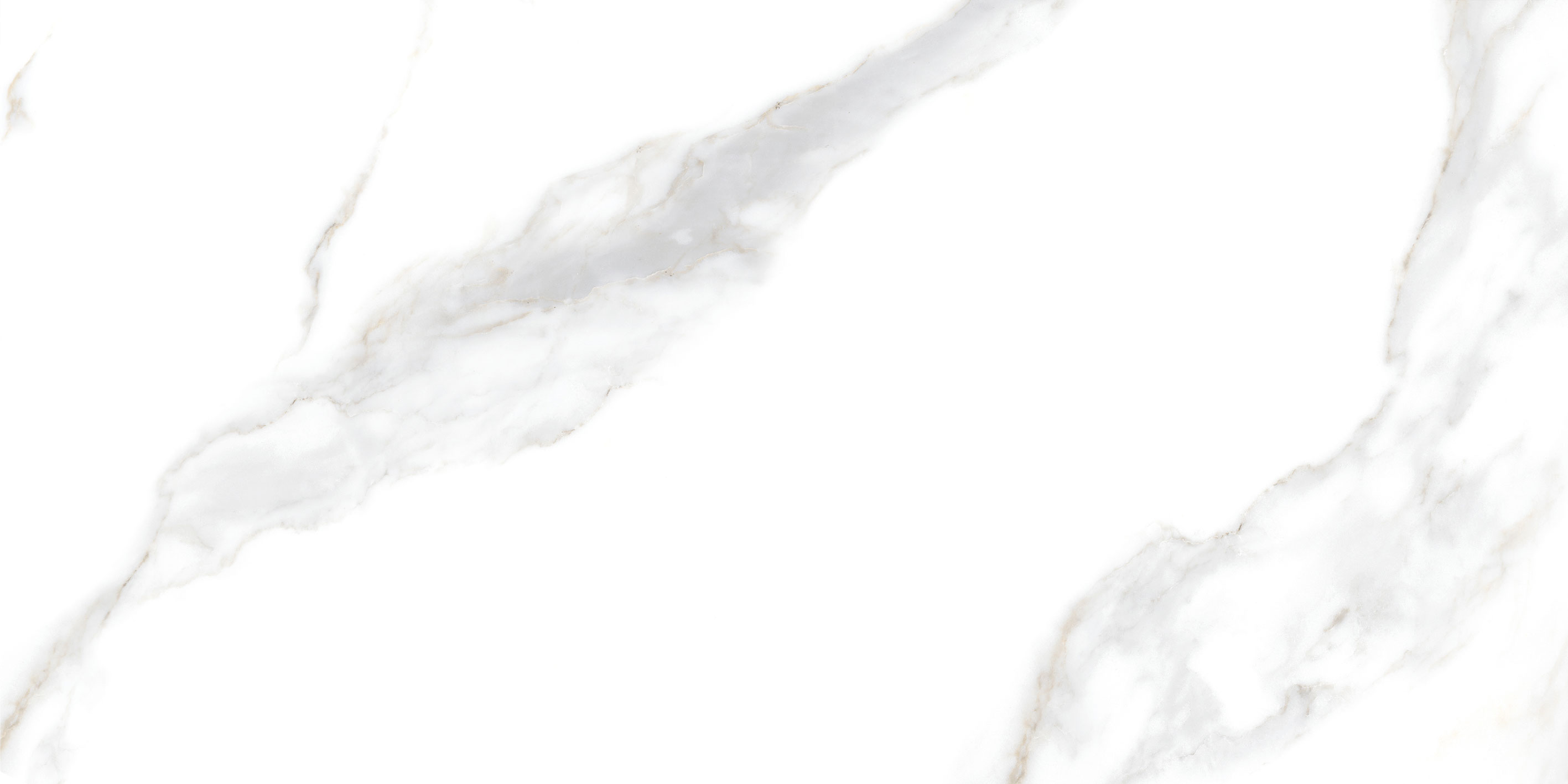 GT5010026803MR На пол Сопрано Белый 50x100 - фото 5