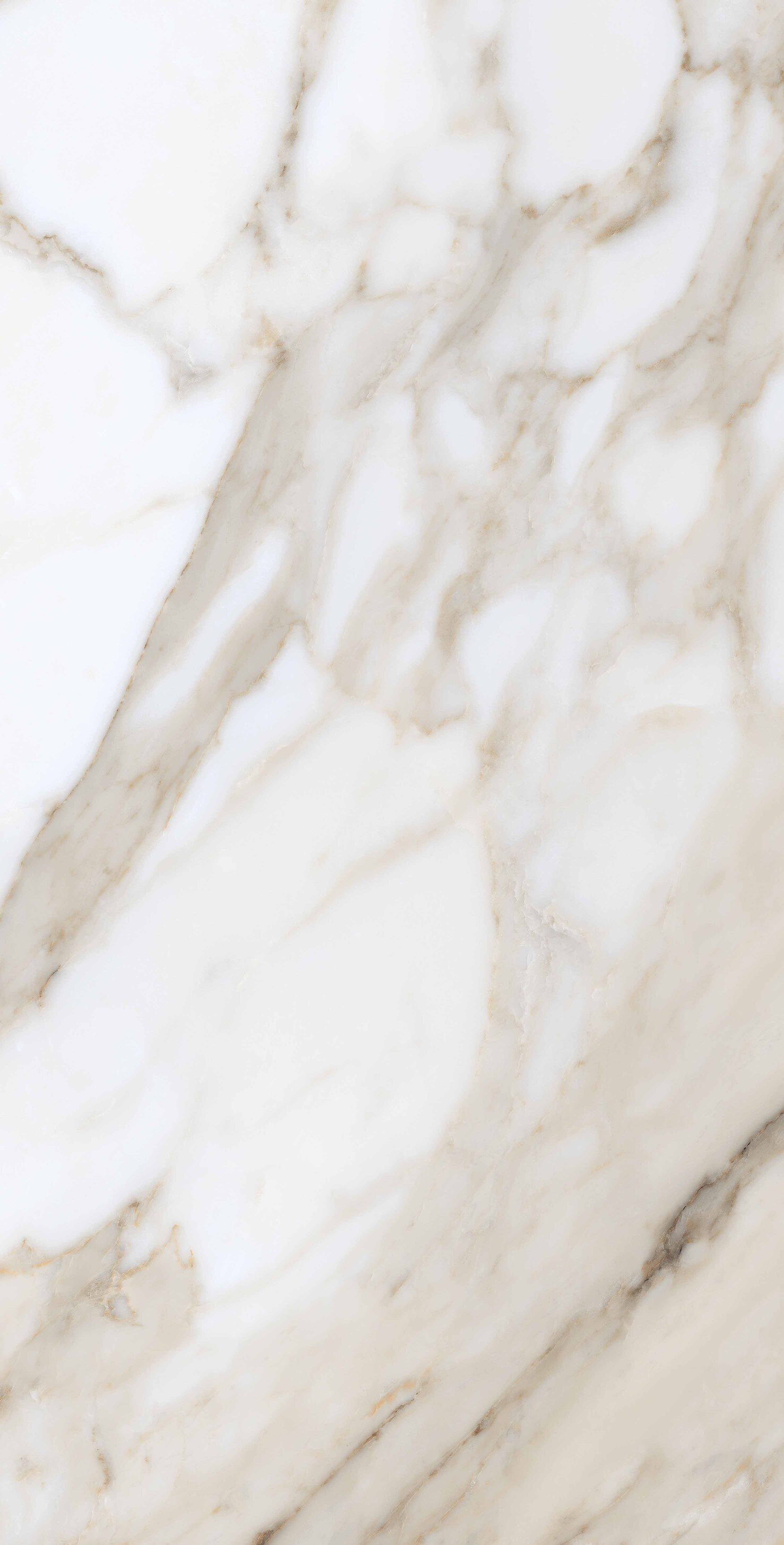 На пол Calacata Gold Polished 80x160 - фото 4