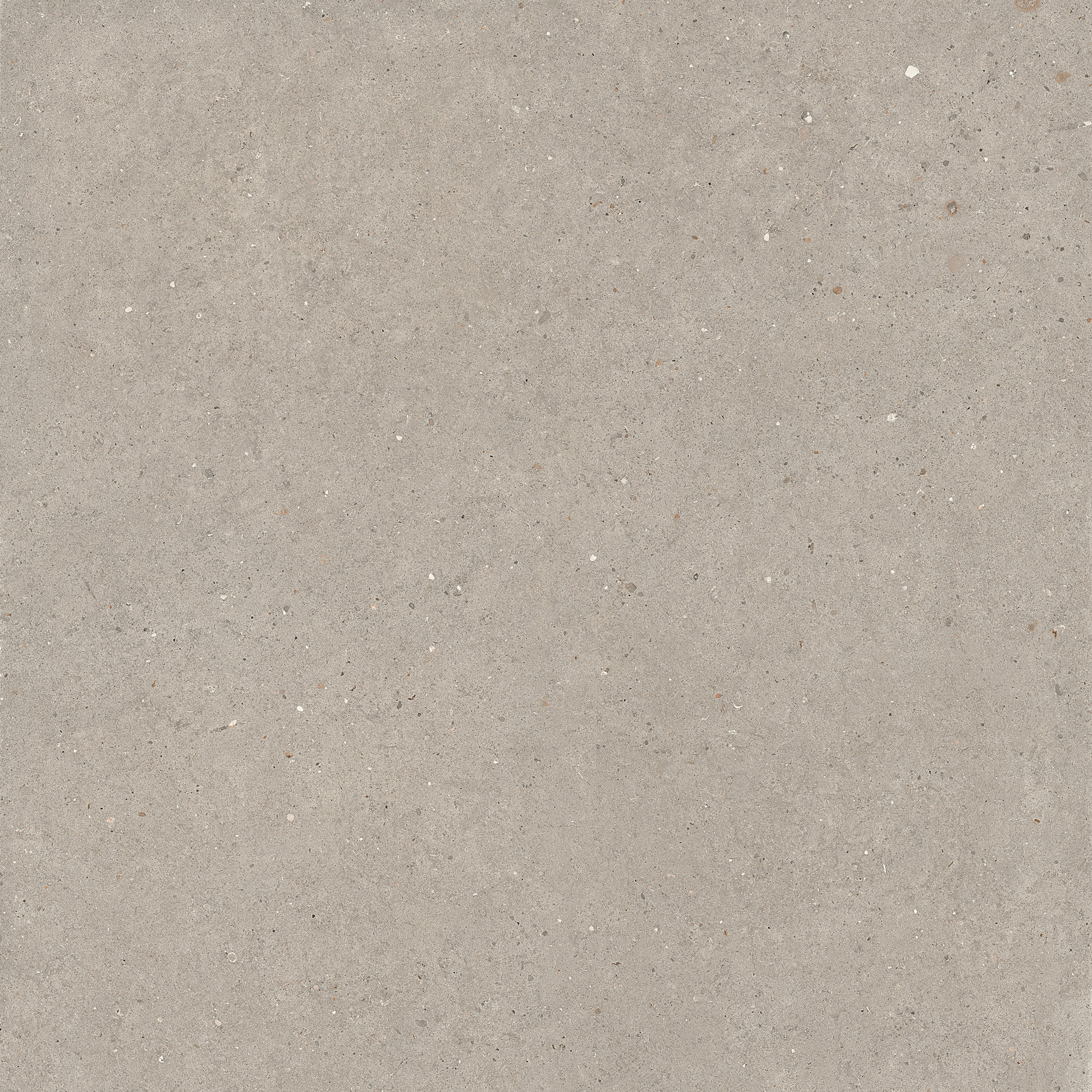 200294 На пол Suite Stone ARGENT6 120 120x120