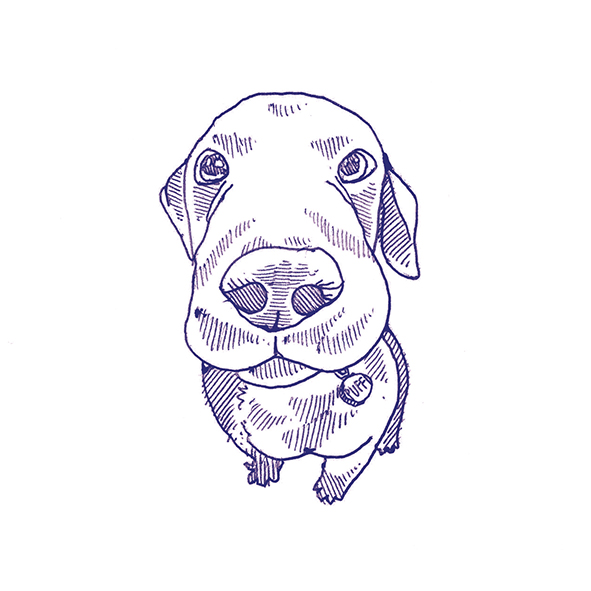 4101303 Декор Stories Eddie Matte 10x10