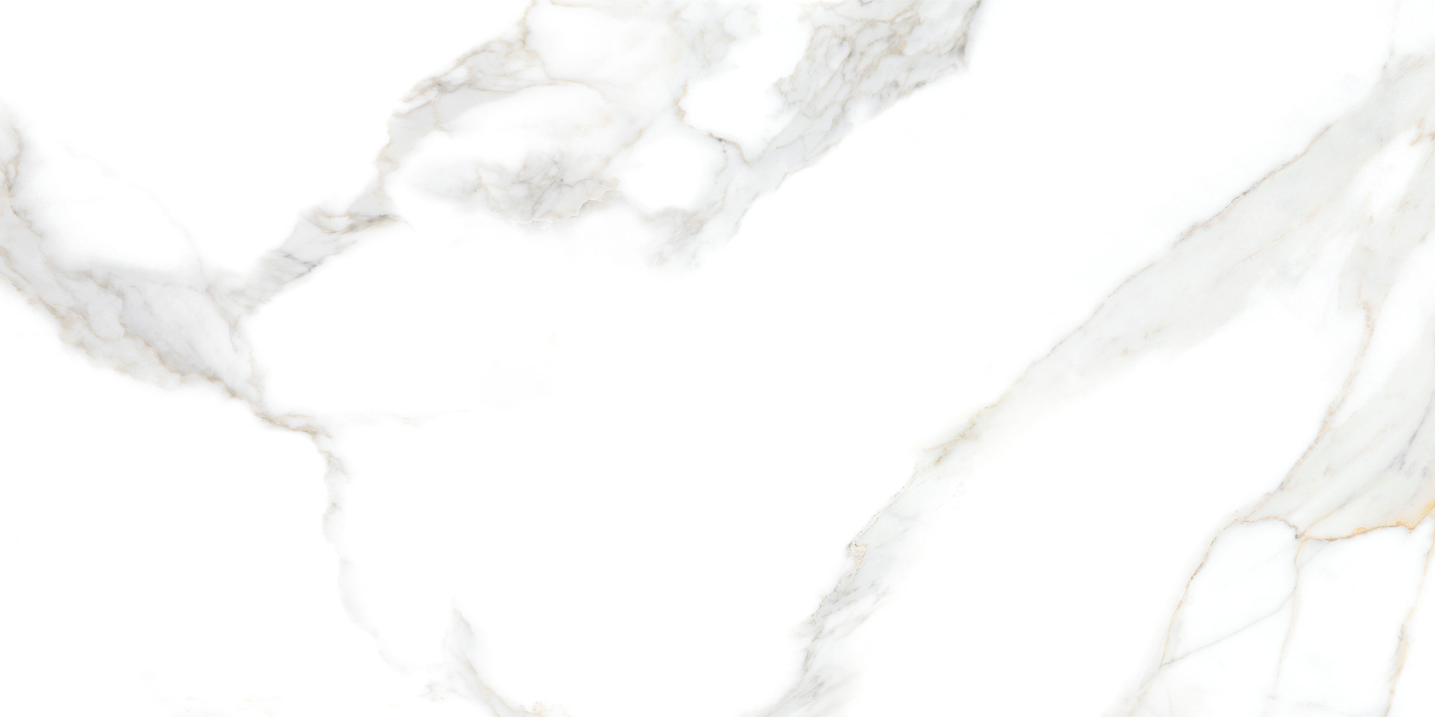 GT5010026803MR На пол Сопрано Белый 50x100 - фото 9