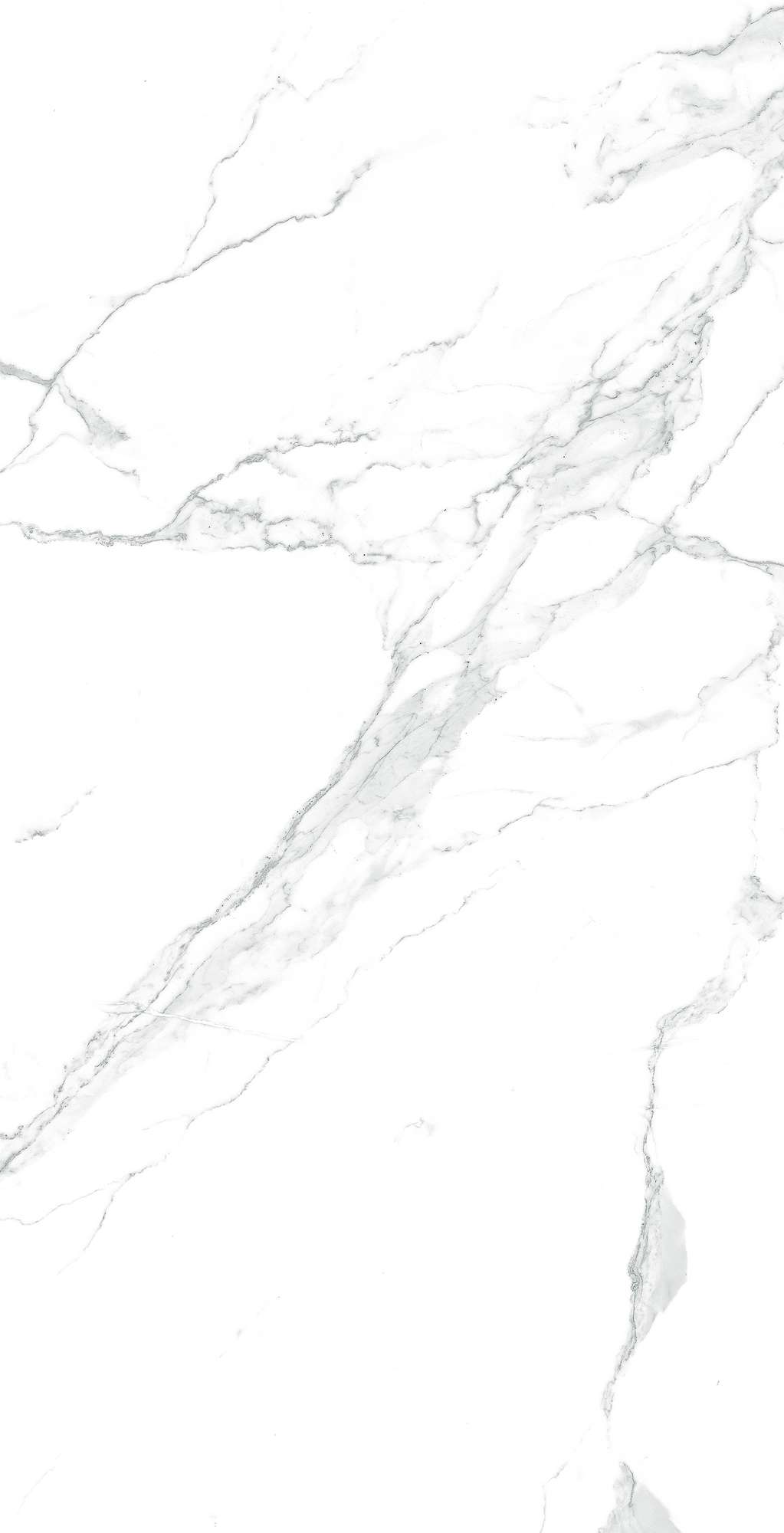 CR4003-A На пол Paradise Statuario Carving 60x120 - фото 4