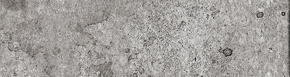 На стену Айдахо 2 серый 245х65 - фото 7