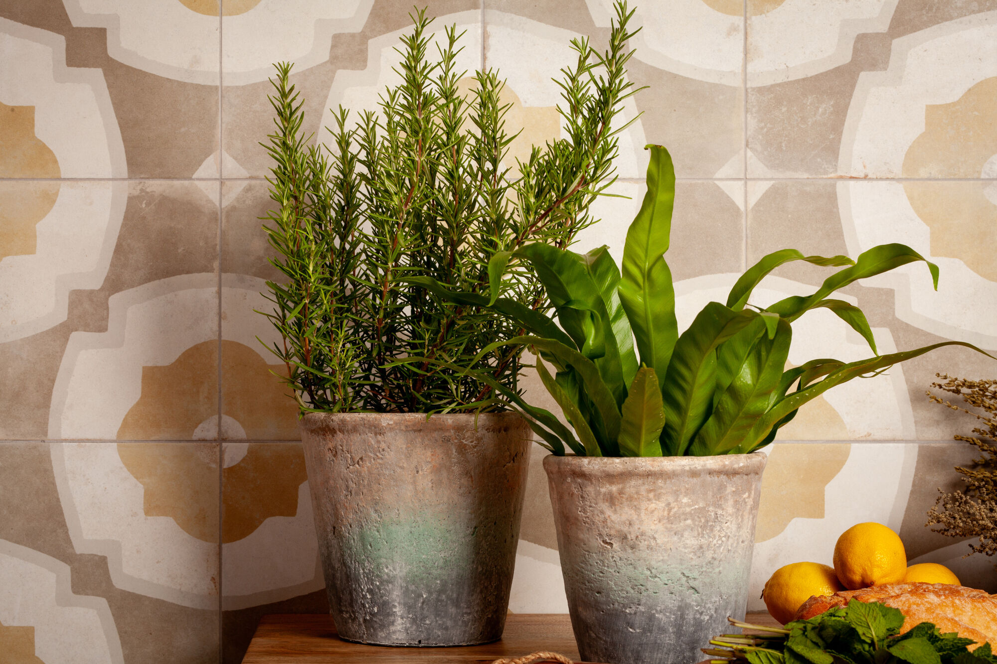 42698 На пол Fs Farfalla Violet/45X45X0.95 45x45 - фото 14