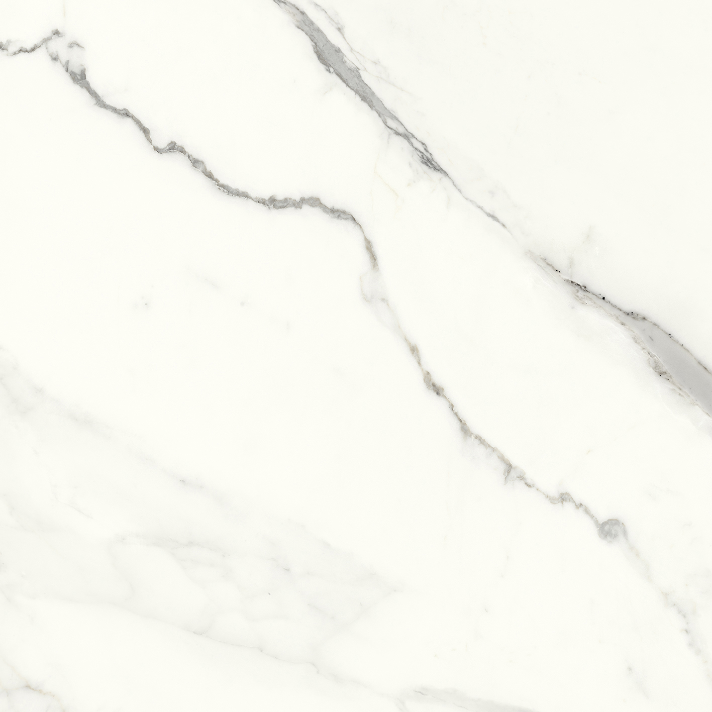 100331073 На пол Aria White Polished 120x120 - фото 4