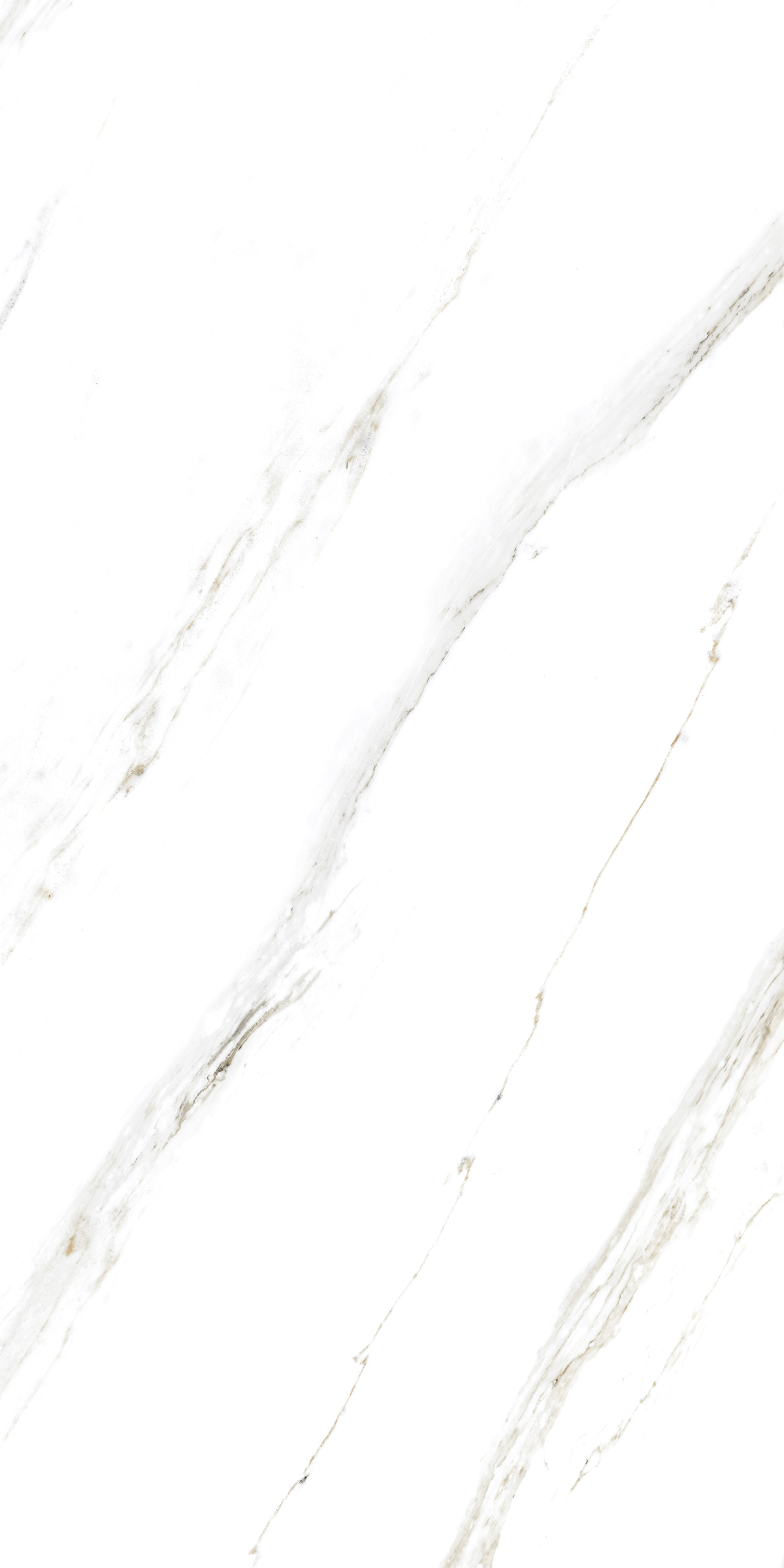 885  Напольный Marble 5.5mm Calacatta Caldia 120x60 - фото 3