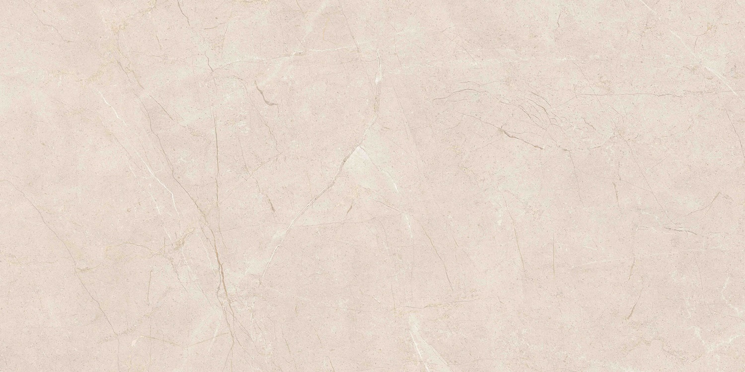 K958007R0001VTER На пол MoonLight Греж Матовый R10A Ректификат 60x120 - фото 2