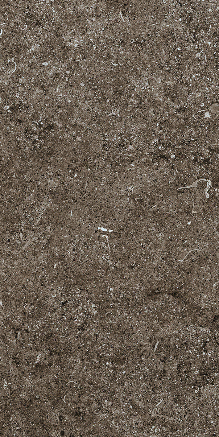 768353 На пол Sensi by Thun Brown Fossil Ret 40x80 - фото 3