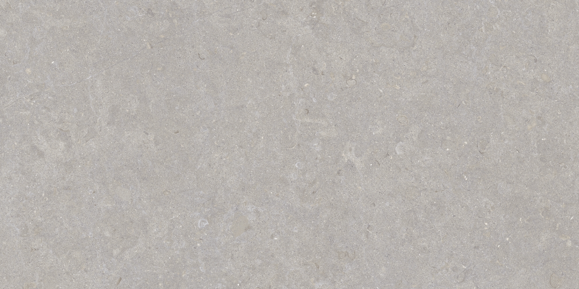 35568 На пол Ghent Grey/50X100X2/A/R 50x100 - фото 4