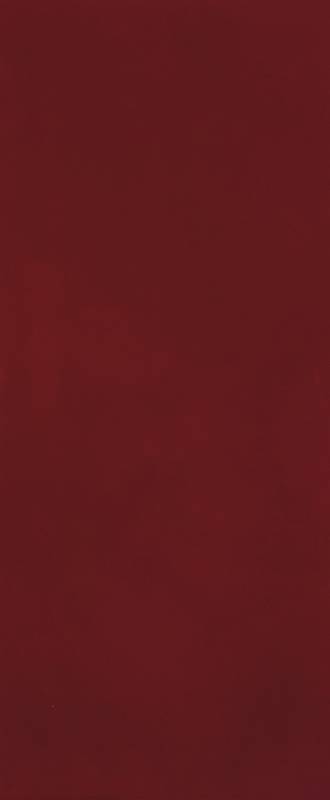 fTOI На стену Materia Brillante Borgogna Brillante RT 50x120