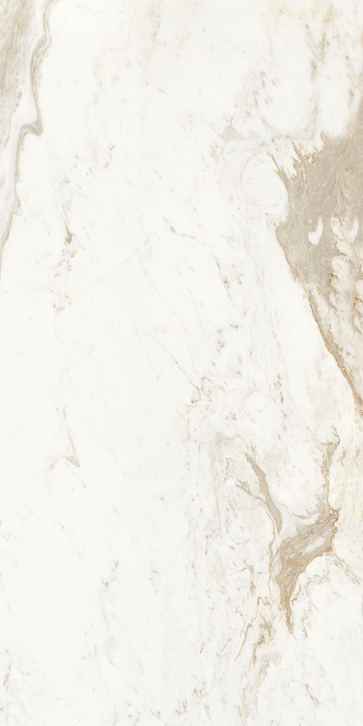 883 Напольный Marble 5.5mm Alaska Bianco 120x60 - фото 4