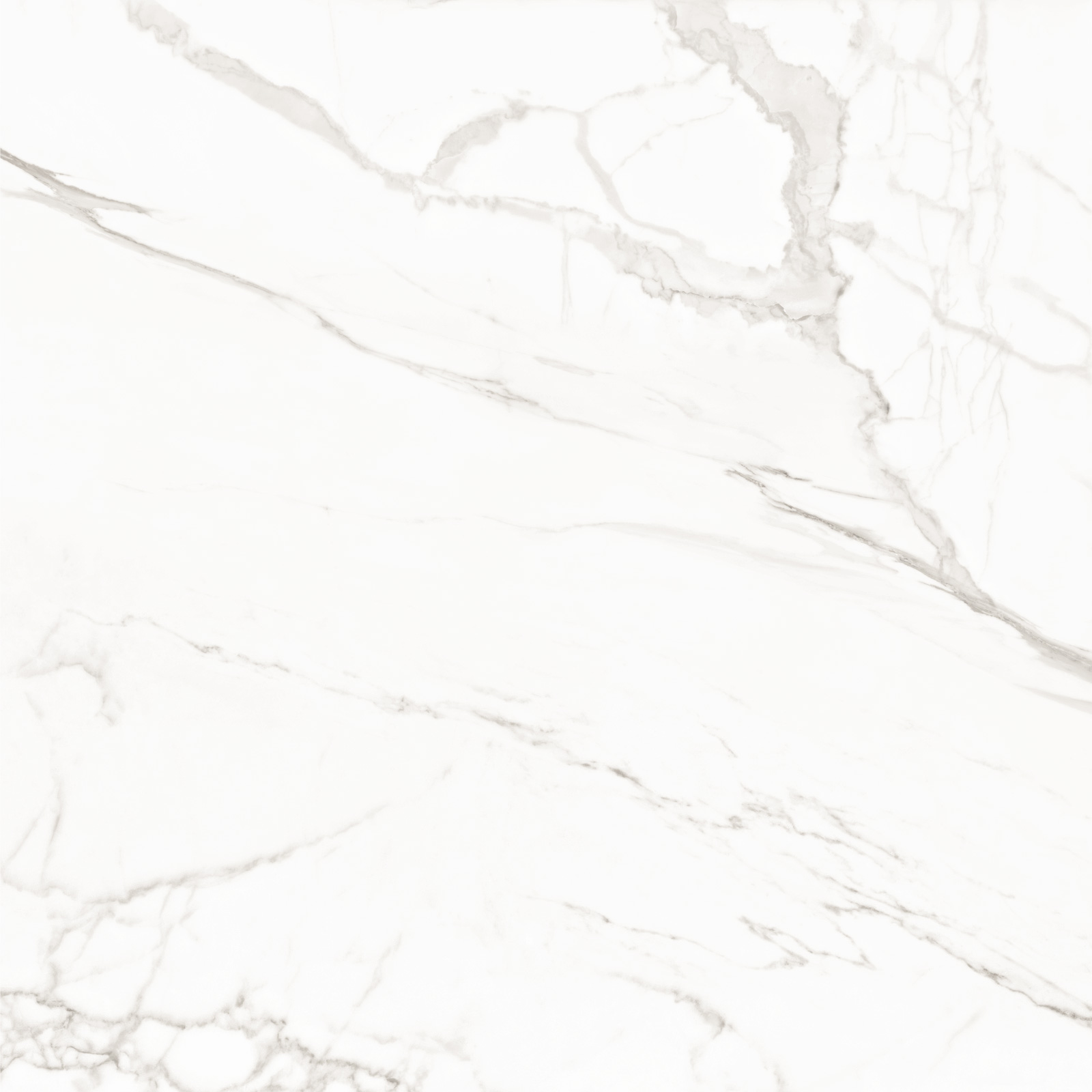 8080TRL00M На пол Trend Line Calacatta матовый 800x800 - фото 9