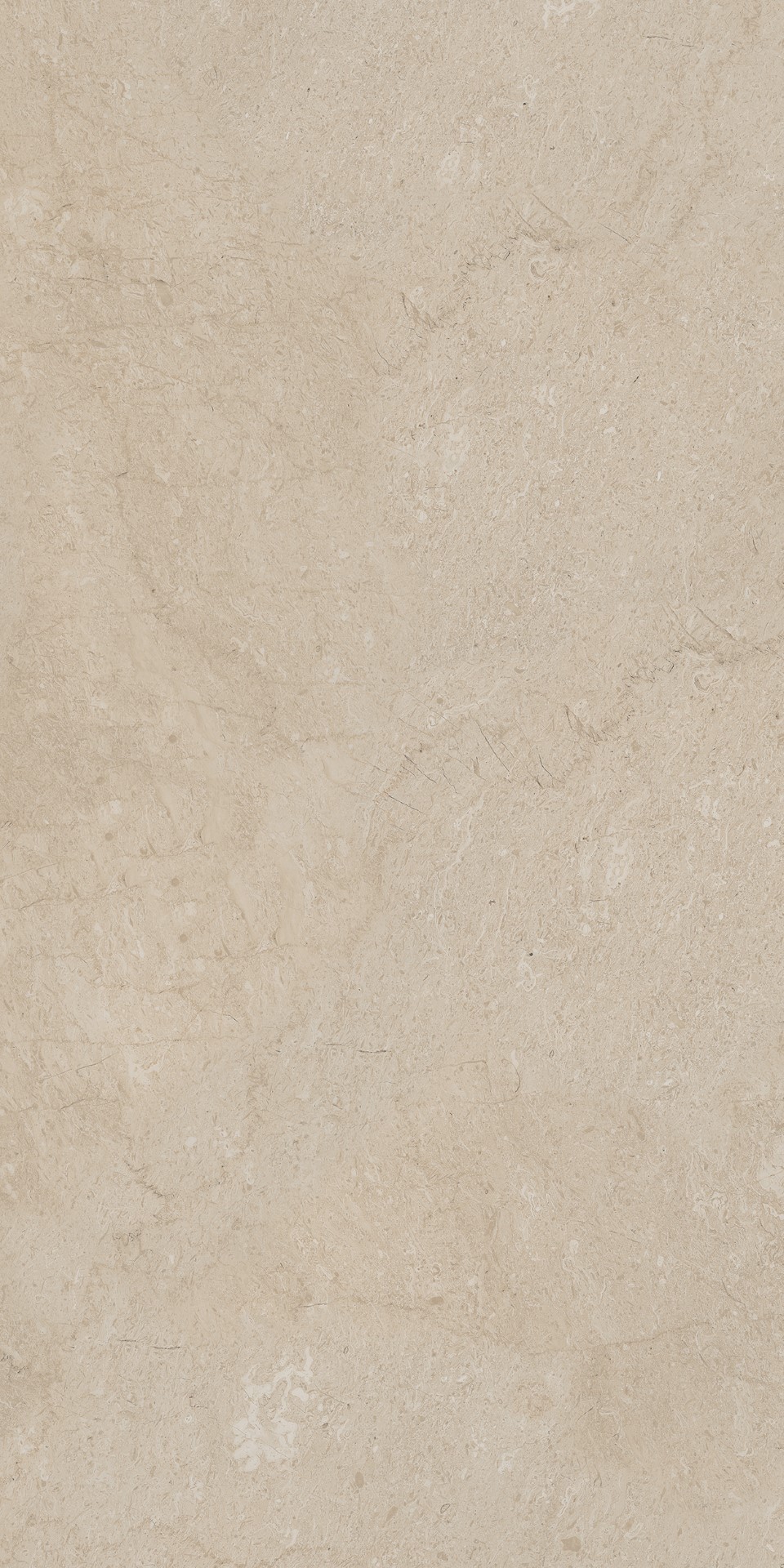 AEM01/NS_R9/60x120x9R/GW На пол Элемента Бежевый Неполированный Рект 60x120x9 - фото 5