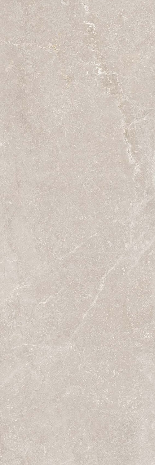 R0001633 На стену Bleuemix Taupe 40x120