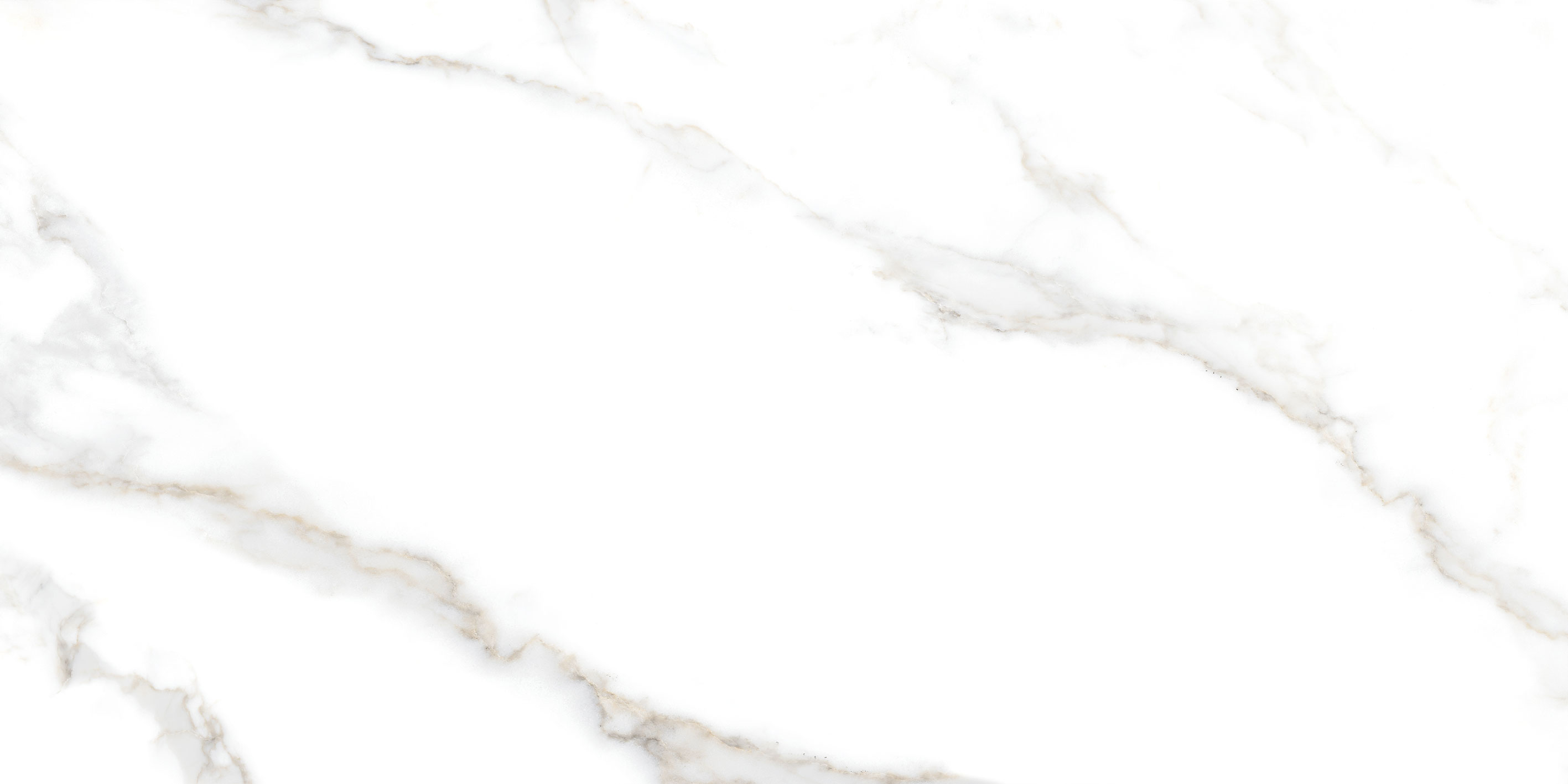 GT5010026803MR На пол Сопрано Белый 50x100 - фото 12