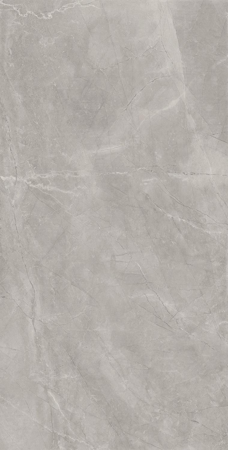 На пол Bayona Silver Pulido 120x240 - фото 3