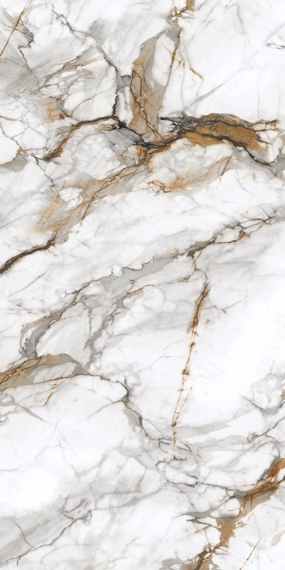 PT12P7081 На пол Royal Marble Полированная 1200х600х9